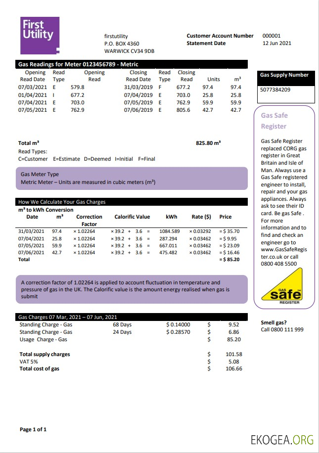 United Kingdom Warwick First Utility bill template in Word and PDF format